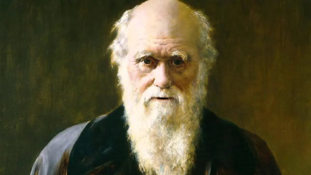  Darwin philosophy - Monkeys hungry 